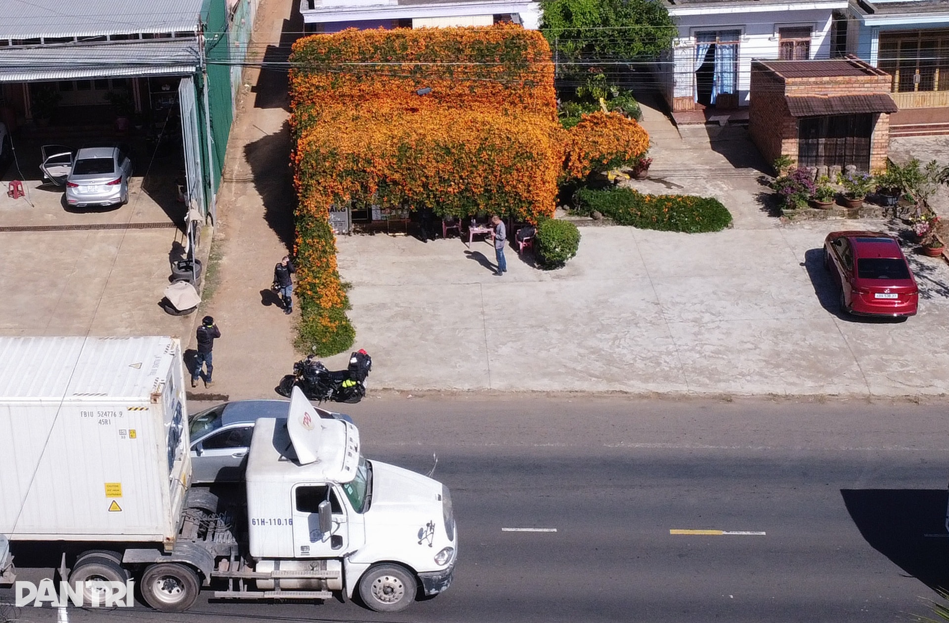 Choáng ngợp với căn nhà phủ kín hoa xác pháo ở Lâm Đồng - 12