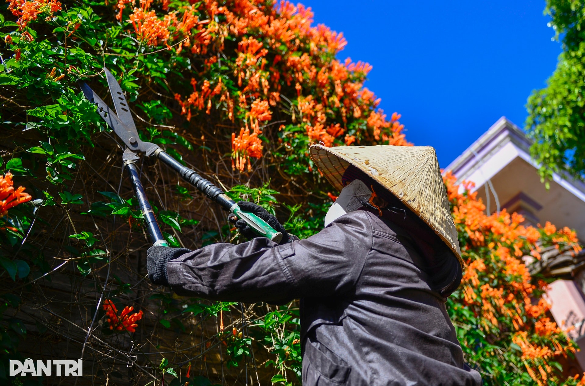 Choáng ngợp với căn nhà phủ kín hoa xác pháo ở Lâm Đồng - 5