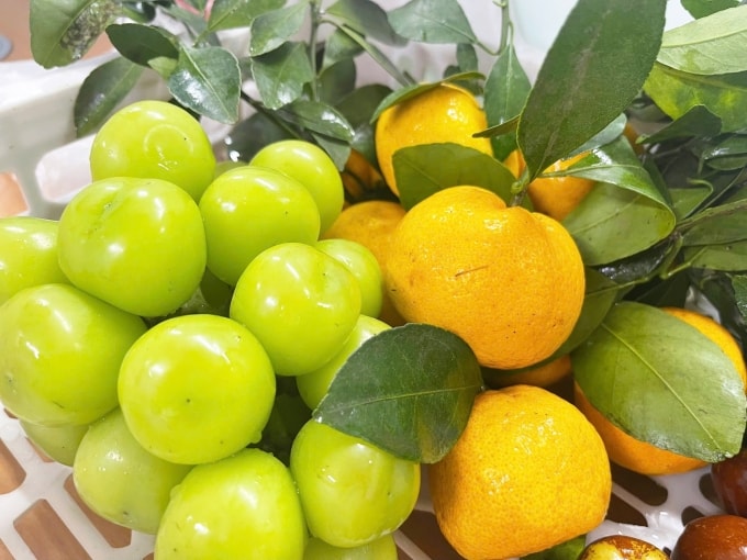 Trái cây cung cấp nhiều loại vitamin, khoáng chất và các hợp chất chống oxy hóa. Ảnh: Ly Nguyễn