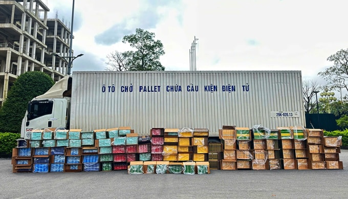 Số thuốc lá bị thu giữ. Ảnh: Khôi Trần