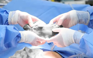 Hy hữu sản phụ mang song thai “vượt cạn” trên xe khách đường dài- Ảnh 5.