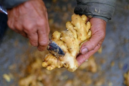 Tới Huế du Xuân Bính Ngọ: Có gì hấp dẫn, ở đâu?  - Ảnh 2.