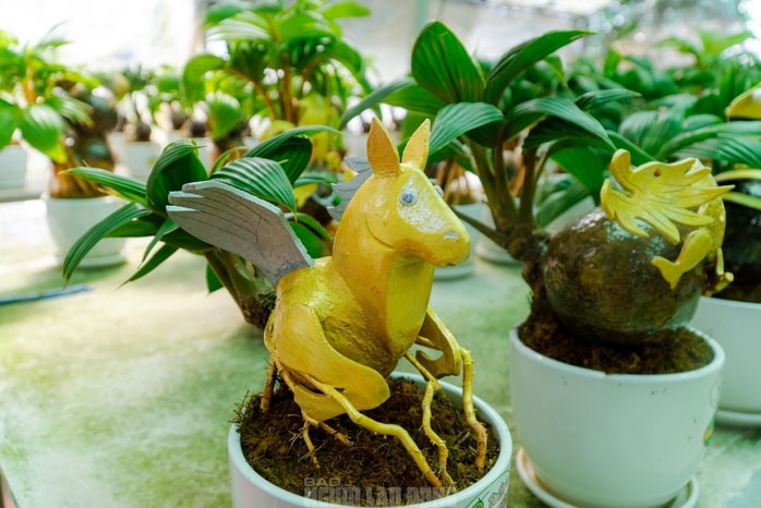 Dừa bonsai Mã đáo thành công: Nghệ thuật và kinh tế Tết Bính Ngọ 2026 - Ảnh 6.