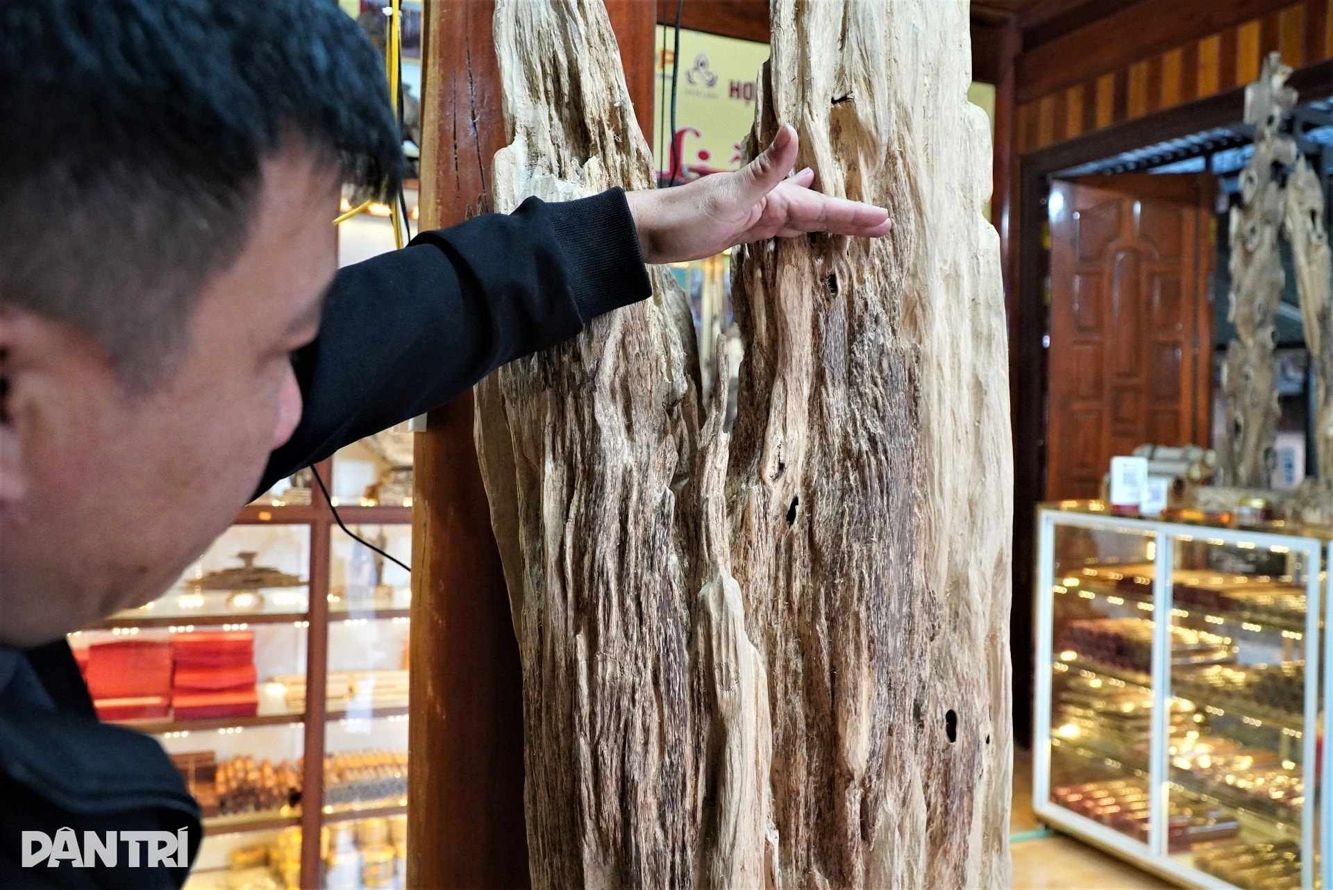 Khúc gỗ trăm tuổi dài 2m, được trả giá hơn nửa tỷ đồng - 8