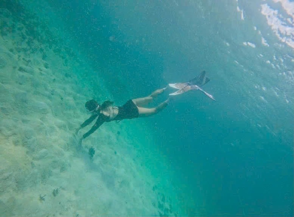 Tiên cá quyến rũ bơi cùng cá mập từng đối mặt sự cố chết người - 2