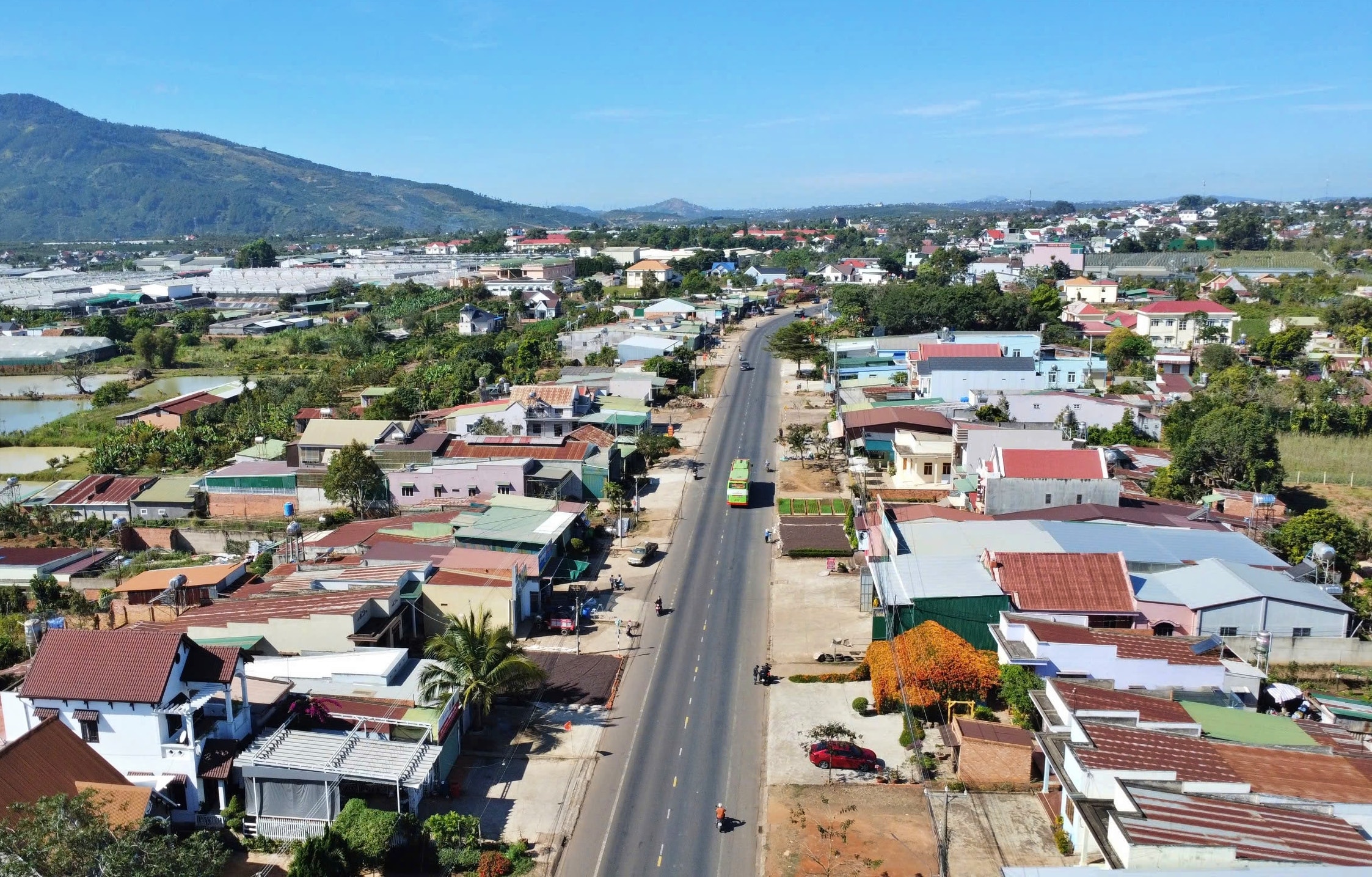 Căn nhà dưới tán hoa xác pháo, đang 