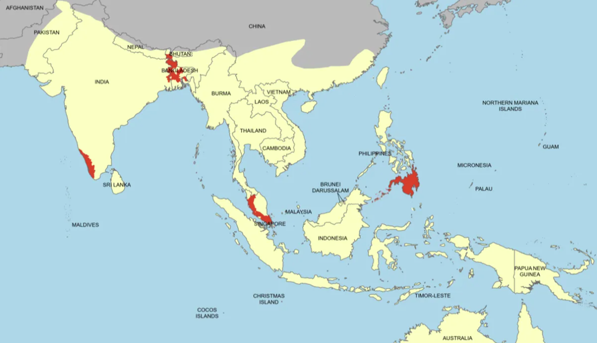 Bản đồ phân bổ dơi ngựa