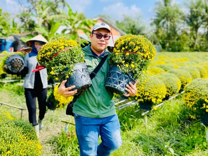 Anh Quốc Trung giải cứu cúc mâm xôi nở sớm cho ba nhà vườn ở Chợ Lách, Vĩnh Long, ngày 17/1. Ảnh nhân vật cung cấp