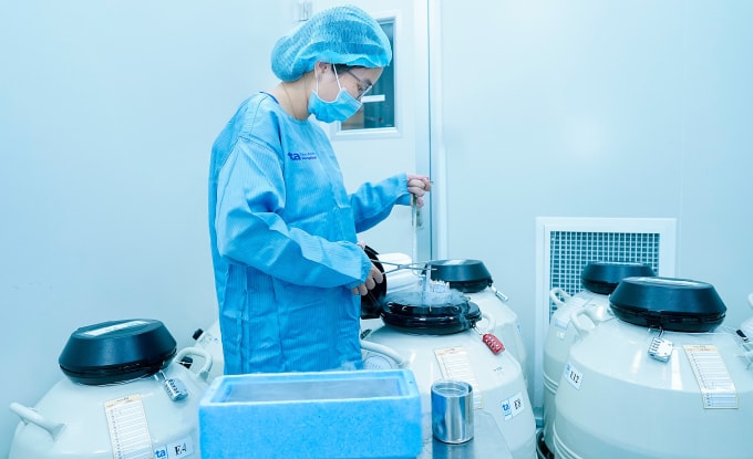 Trứng của Hạnh sau chọc hút được trữ đông trong bình ni tơ lỏng -196 độ C. Ảnh: Bệnh viện Đa khoa Tâm Anh