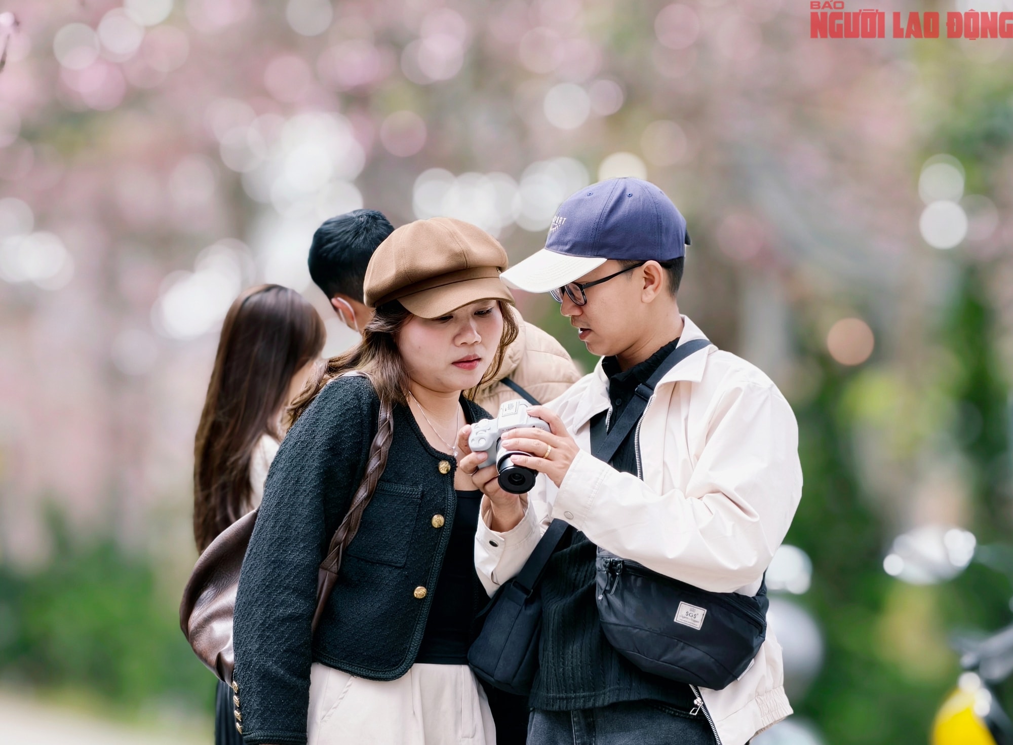 Du khách đổ về Đà Lạt ngắm những cung đường mai anh đào đẹp nhất 2026 - Ảnh 10.