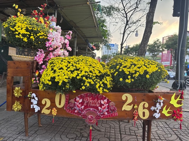 Cúc mâm xôi Tết 2023: Giá cả và sự đa dạng tại TP HCM - Ảnh 8.