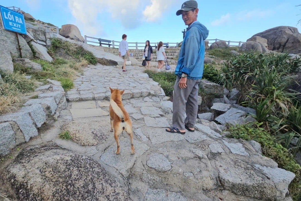 Chú chó ở Phú Yên gây sốt vì chỉ đường cho khách như hướng dẫn viên - 4 Chú chó ở Phú Yên gây sốt vì chỉ đường cho khách như hướng dẫn viên - 4