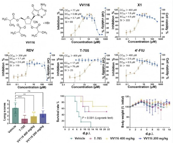 Biểu đồ kết quả thí nghiệm của Viện Virus học Vũ Hán. Ảnh: The Paper