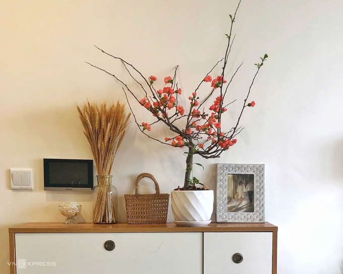 Cây mai đỏ được đặt trên tủ giày, tạo điểm nhấn sắc màu trong không gian nhà ở dịp Tết. Ảnh: Bích Phương