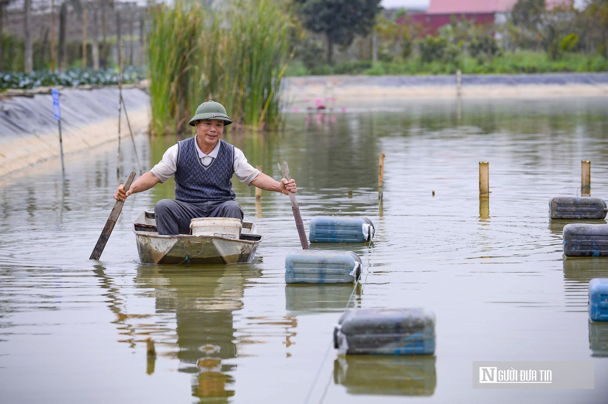 Nuôi con “biết nhảy” trên ruộng lúa, nhiều nông dân thu nhập tăng gấp 5 lần- Ảnh 2.