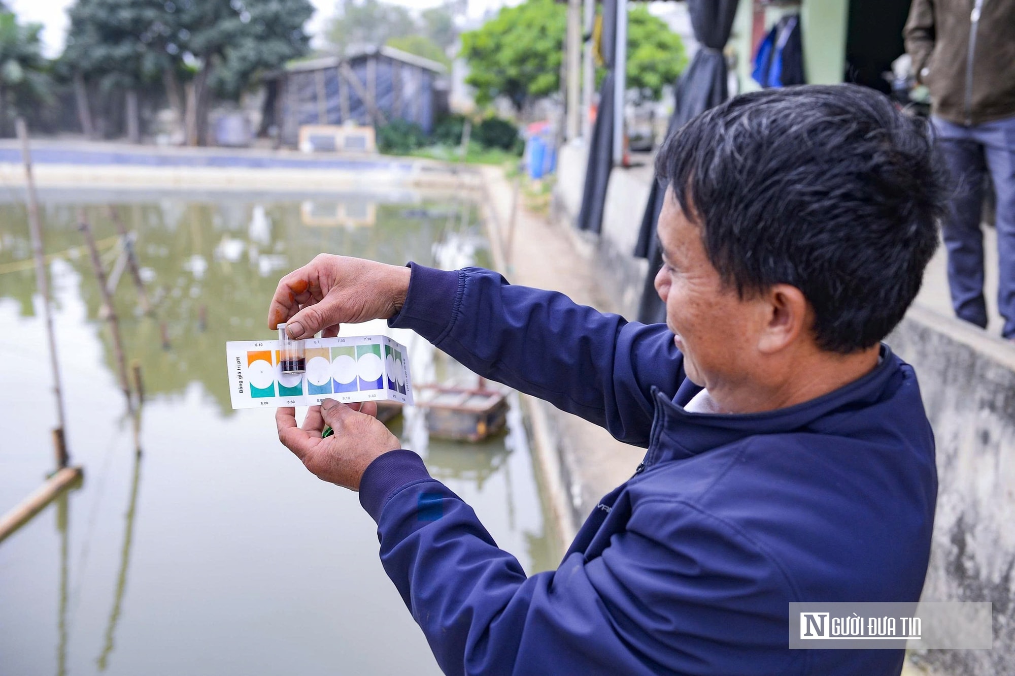 Nuôi con “biết nhảy” trên ruộng lúa, nhiều nông dân thu nhập tăng gấp 5 lần- Ảnh 5.