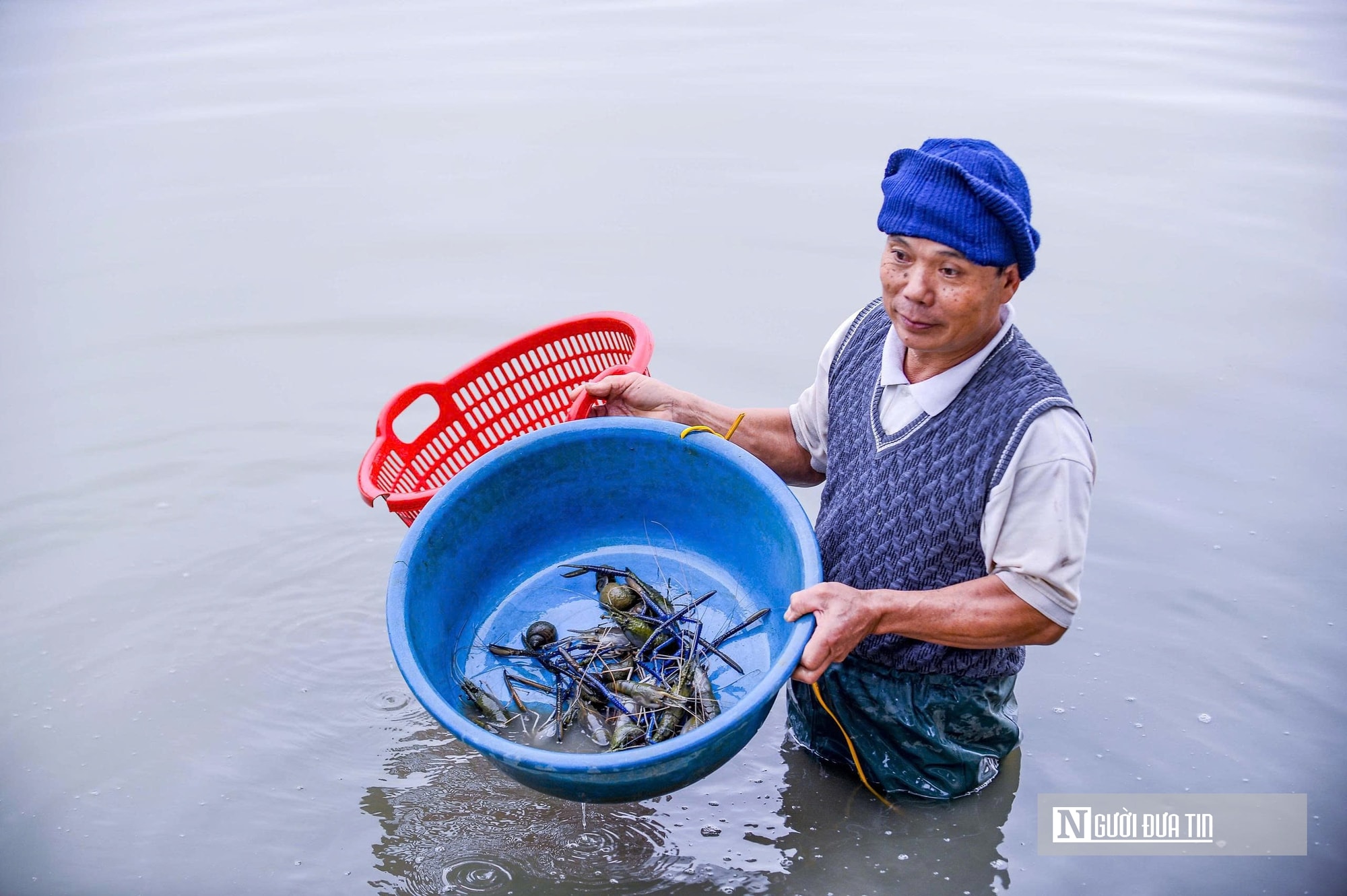 Nuôi con “biết nhảy” trên ruộng lúa, nhiều nông dân thu nhập tăng gấp 5 lần- Ảnh 6.