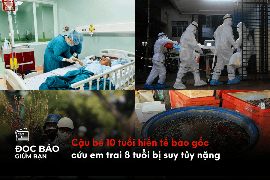 Cậu bé 10 tuổi hiến tế bào gốc cứu em trai 8 tuổi bị suy tủy nặng 