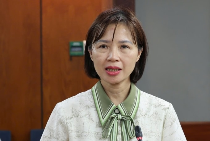 Bác sĩ Lê Hồng Nga, Phó giám đốc Trung tâm Kiểm soát bệnh tật TP HCM tại họp báo chiều 29/1. Ảnh: Trung tâm báo chí TP HCM