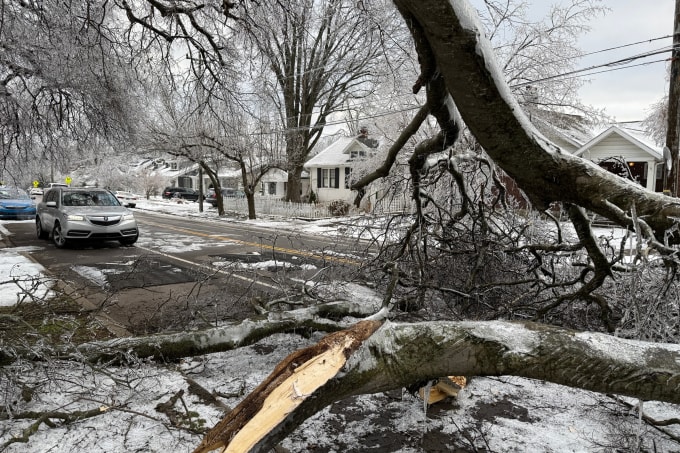 Cây đổ chắn ngang đường sau trận bão mùa đông ở Nashville, bang Tennessee ngày 27/1. Ảnh: AP