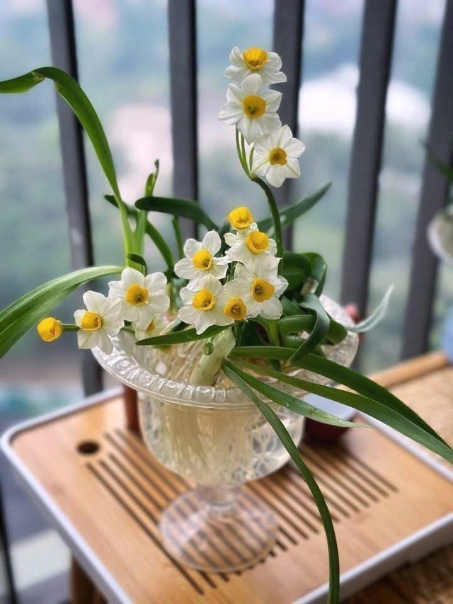 Chơi hoa theo trend, thú vui mới của nhiều chị em đón Tết- Ảnh 4.