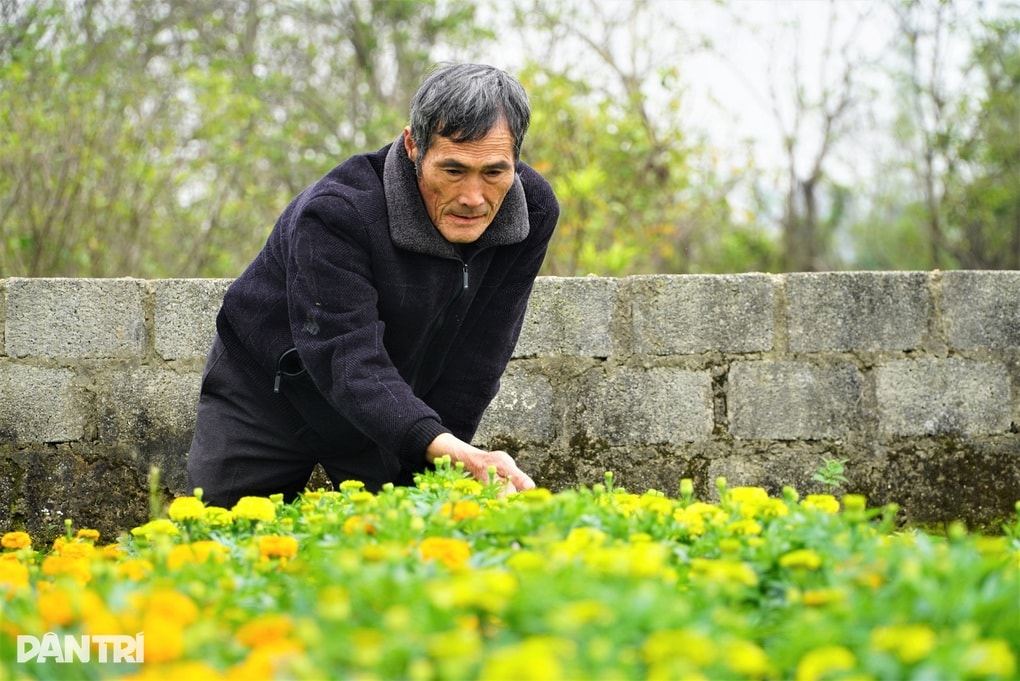 Làm điều không ngờ, lão ngư bị chê gàn dở nay thu trăm triệu sau 3 tháng - 1