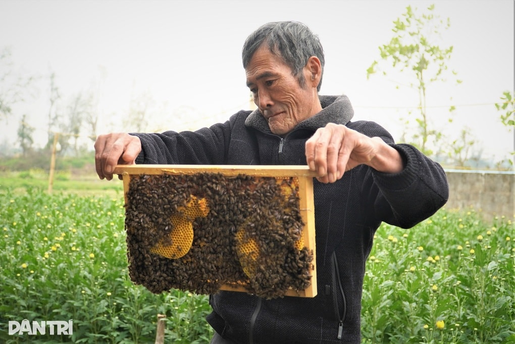 Làm điều không ngờ, lão ngư bị chê gàn dở nay thu trăm triệu sau 3 tháng - 4