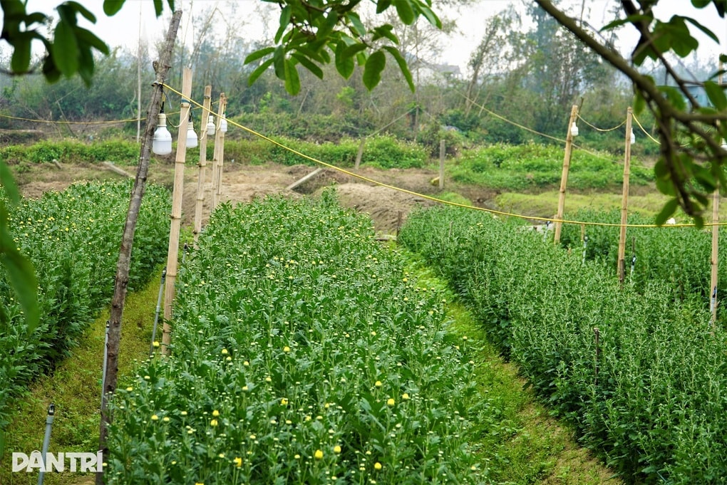 Làm điều không ngờ, lão ngư bị chê gàn dở nay thu trăm triệu sau 3 tháng - 3