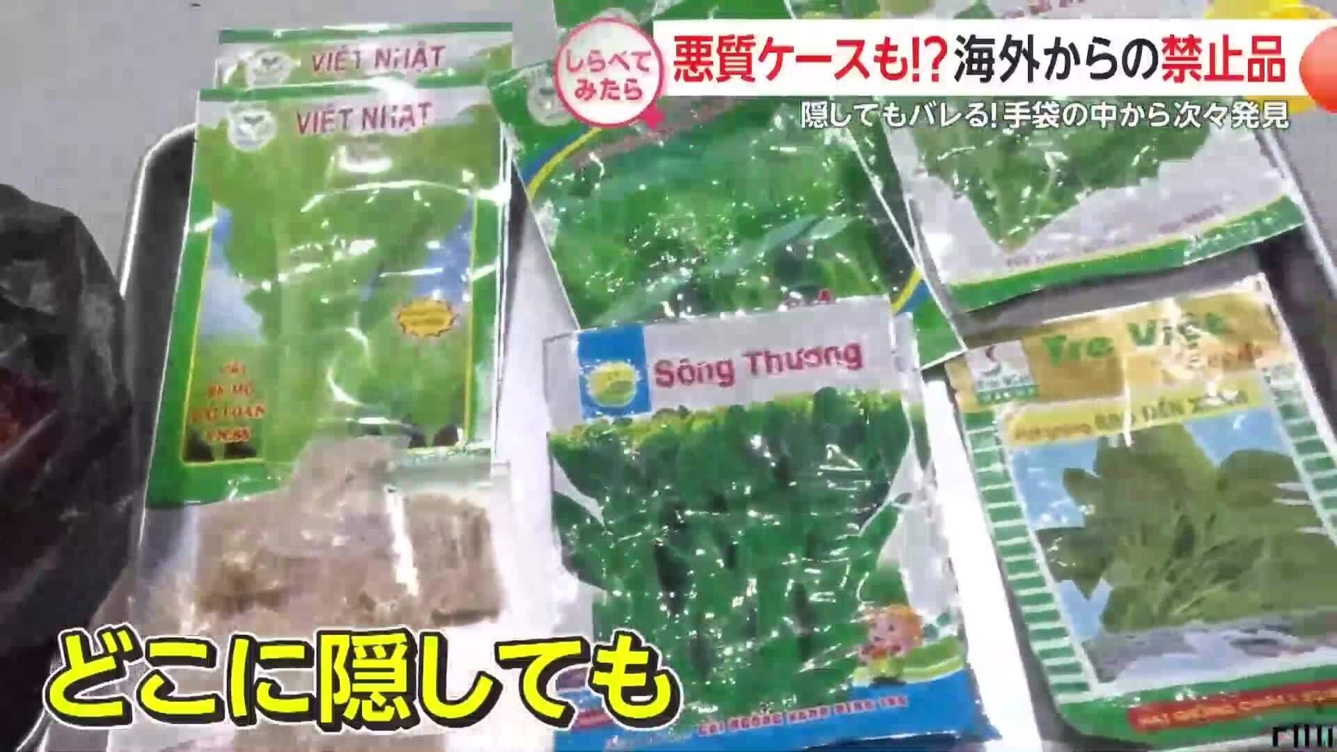 Khách Việt giấu hạt giống rau khi nhập cảnh Nhật Bản