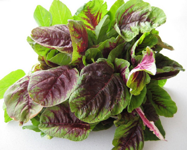 2 loại "rau tăng chiều cao" cho trẻ cực giàu canxi, cái số 1 chợ Việt rất rẻ - Ảnh 1.