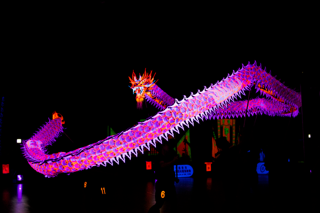 Hồng Kông (Trung Quốc) đón Tết Bính Ngọ với chuỗi lễ hội sôi động khắp thành phố - Ảnh 3.