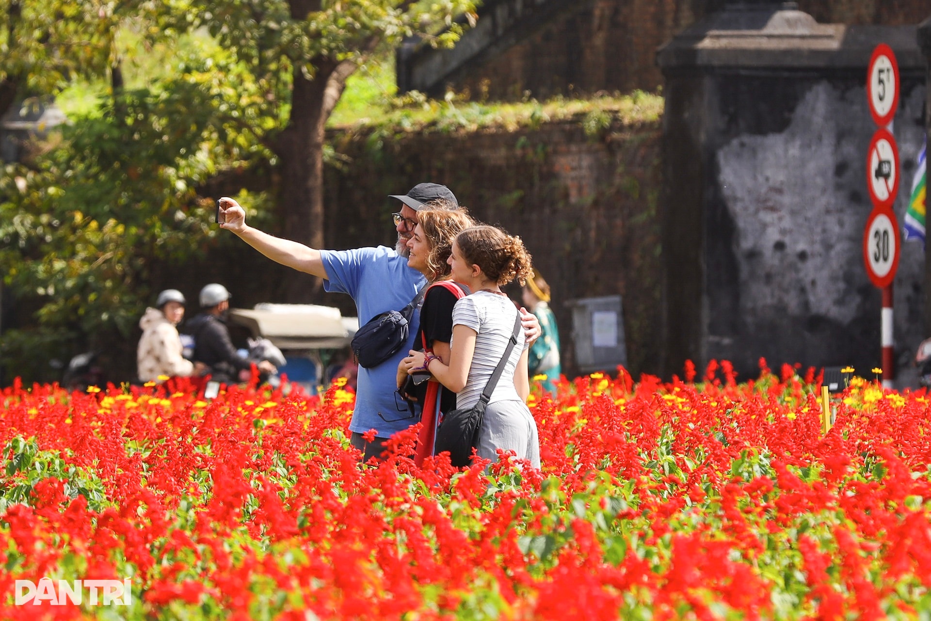 Đóa sen khổng lồ từ 5 vạn chậu hoa ở Kinh thành Huế - 6 Đóa sen khổng lồ từ 5 vạn chậu hoa ở Kinh thành Huế - 6