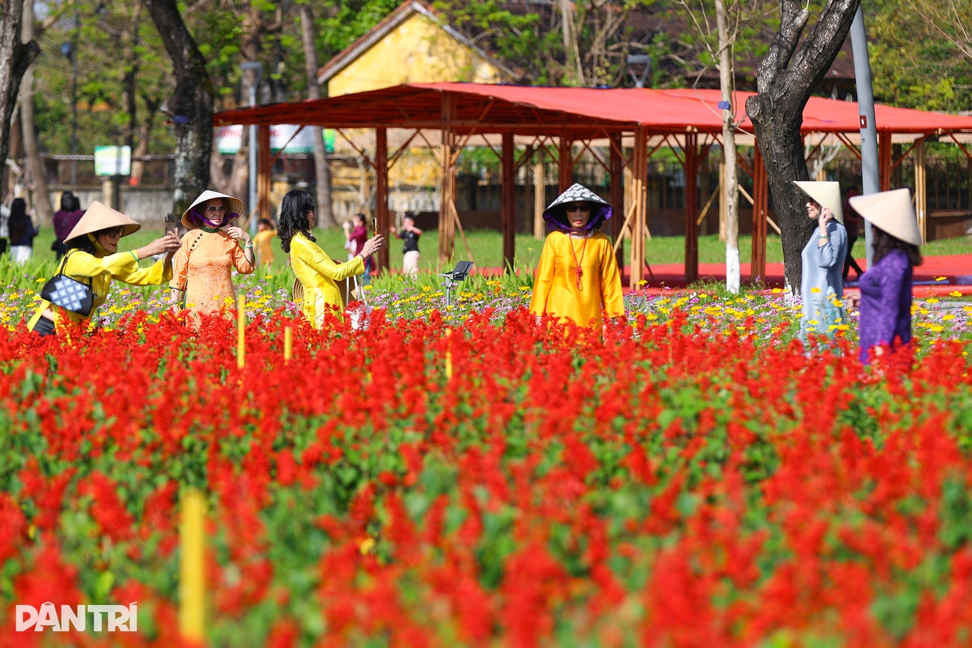 Đóa sen khổng lồ từ 5 vạn chậu hoa ở Kinh thành Huế - 4 Đóa sen khổng lồ từ 5 vạn chậu hoa ở Kinh thành Huế - 4