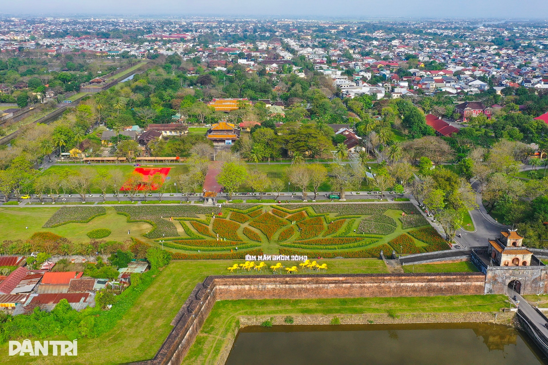 Đóa sen khổng lồ từ 5 vạn chậu hoa ở Kinh thành Huế - 2 Đóa sen khổng lồ từ 5 vạn chậu hoa ở Kinh thành Huế - 2