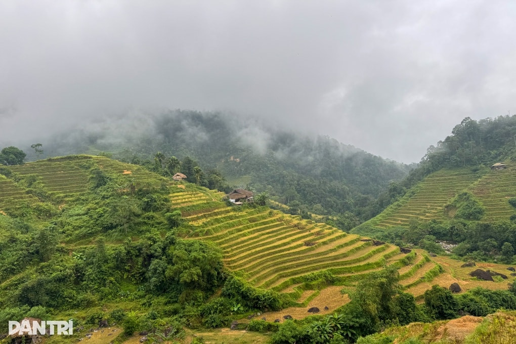 Cha già suy thận đau đớn, 3 thế hệ chật vật tồn tại nơi rừng sâu núi thẳm - 1