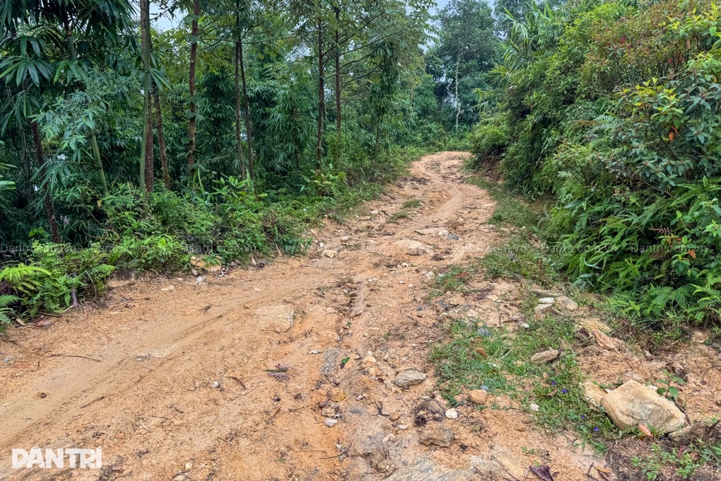 Cha già suy thận đau đớn, 3 thế hệ chật vật tồn tại nơi rừng sâu núi thẳm - 2