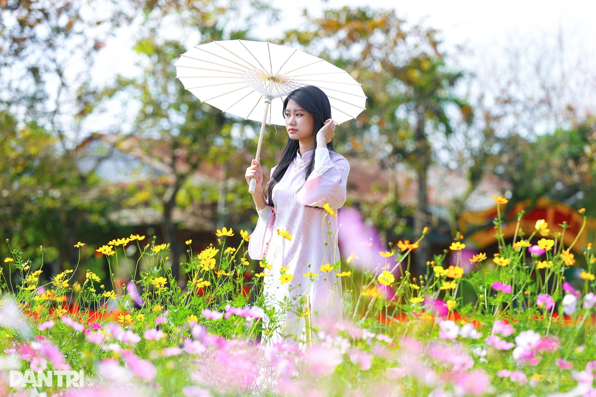 Đóa sen khổng lồ từ 5 vạn chậu hoa ở Kinh thành Huế - 5 Đóa sen khổng lồ từ 5 vạn chậu hoa ở Kinh thành Huế - 5