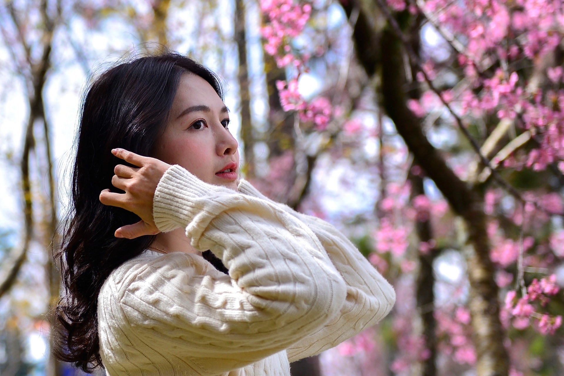 Đà Lạt rực hồng sắc mai anh đào đón Tết Bính Ngọ 2026 - 11