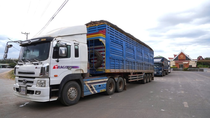 Xe tải chở khoai mì xếp hàng khu vực cửa khẩu Xa Mát chờ thông quan. Ảnh:Nam An