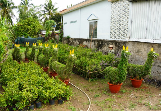 10 con ngựa bằng linh sam tại vườn ông Vũ đã hoàn thiện, sẵn sàng bán cho khách chơi tết. Ảnh: Hoàng Nam