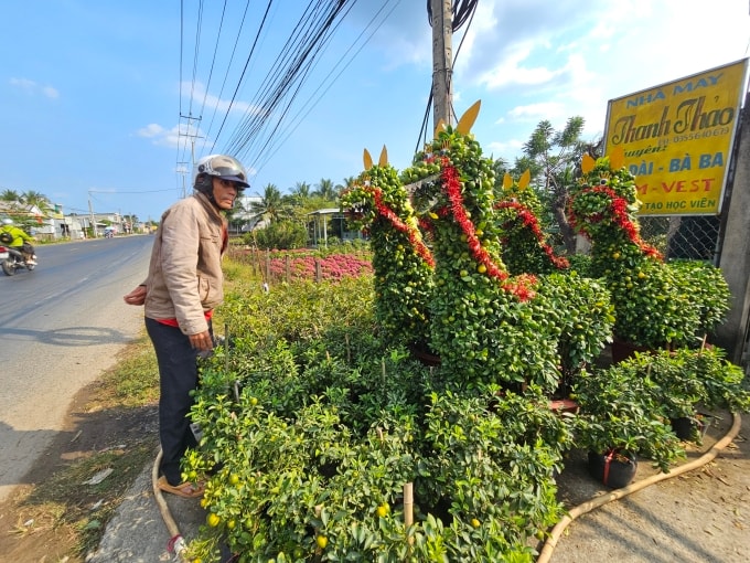 Người đi đường xem tắc ngựa tại nhà ông Dự. Ảnh: Hoàng Nam