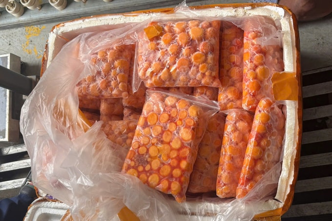 3,6 tấn trứng non cấp đông bị thu giữ. Ảnh: Công an cung cấp