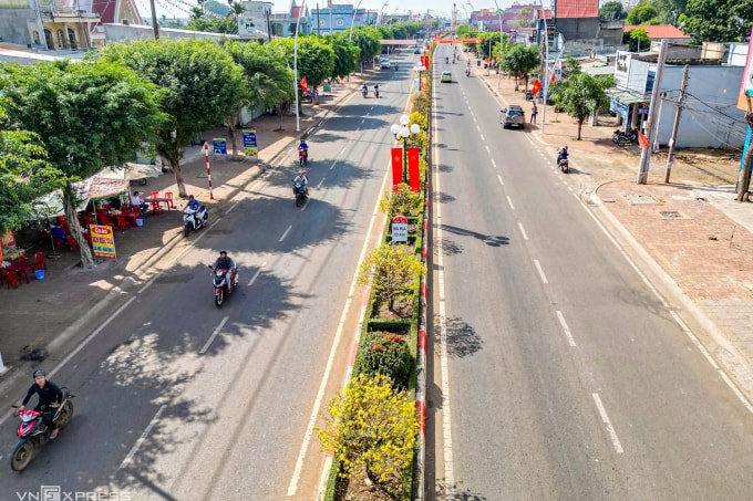 Hàng mai nở hoa dịp Tết năm 2023. Ảnh: Trường Hà