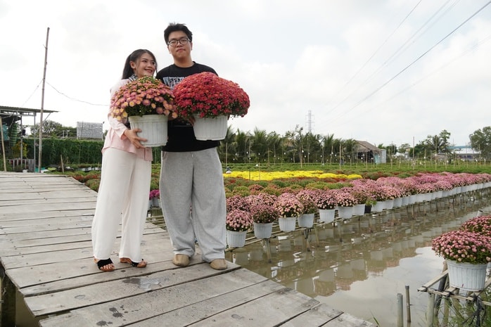 CLIP: Cúc mâm xôi Song Hỷ đang gây sốt dịp giáp Tết - Ảnh 7.