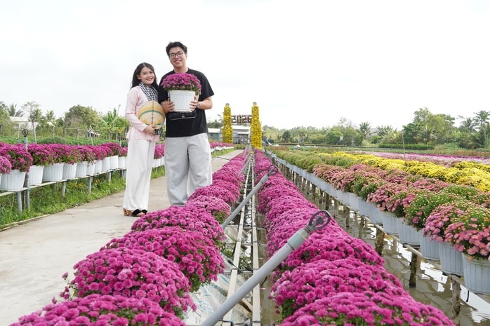 CLIP: Cúc mâm xôi Song Hỷ đang gây sốt dịp giáp Tết - Ảnh 5.