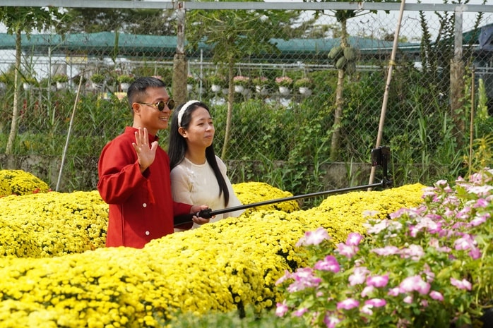 CLIP: Cúc mâm xôi Song Hỷ đang gây sốt dịp giáp Tết - Ảnh 16.