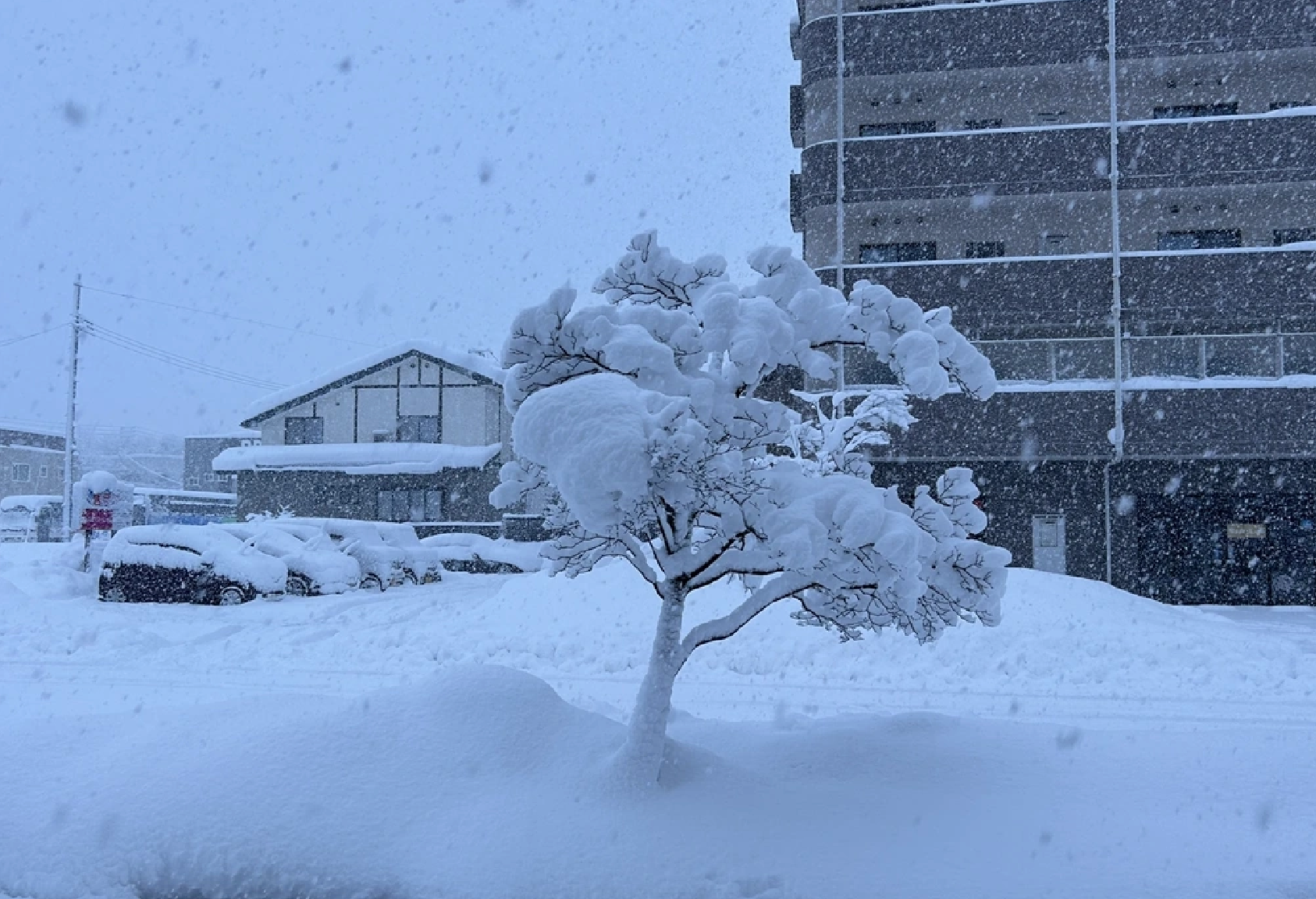 Tuyết rơi dày đặc ở nhiều nơi gây thiệt hại nghiêm trọng về người và của tại Nhật Bản. (Ảnh: VOV/Tokyo)