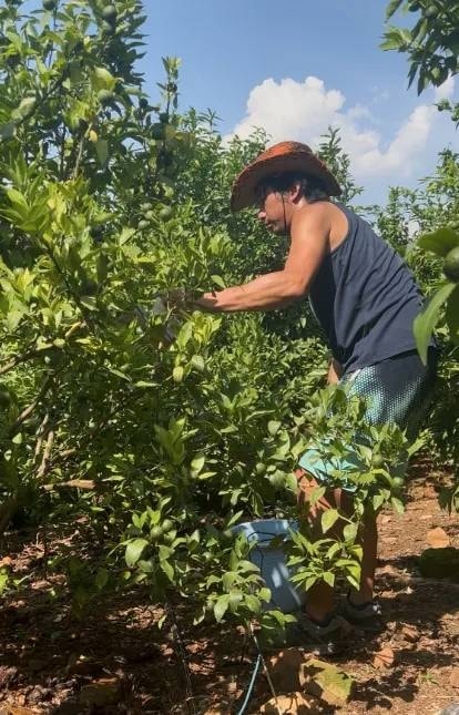 Zhao Dian đi làm vườn thuê. Ảnh: QQ