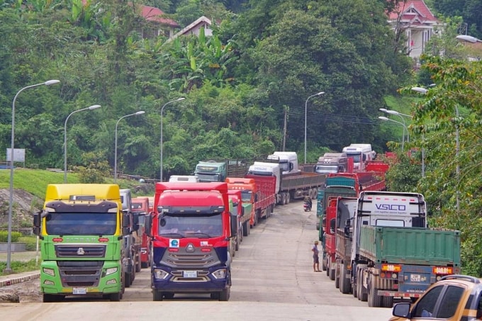 Ùn tắc nông sản nhập khẩu do thực hiện nghị định 46. Ảnh: N.N