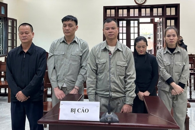 Nhóm bị cáo phạm tội lừa đảo. Ảnh: Minh Nguyễn